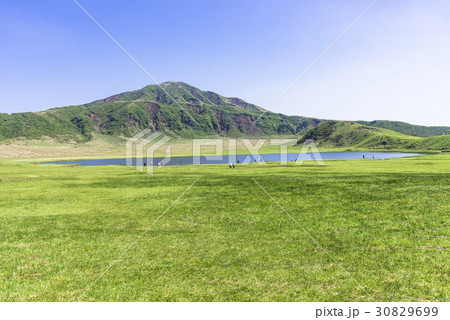 阿蘇山麓の草千里 30829699