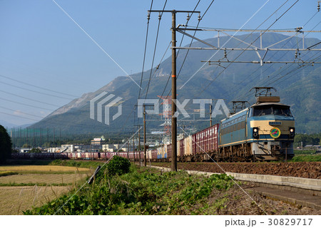 EF6652コンテナ貨物列車 30829717