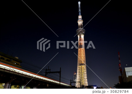 江戸の橘 30829784