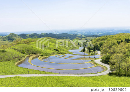 産山村の扇棚田 30829802