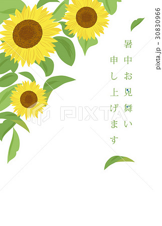 ひまわりの暑中見舞いテンプレートのイラスト素材