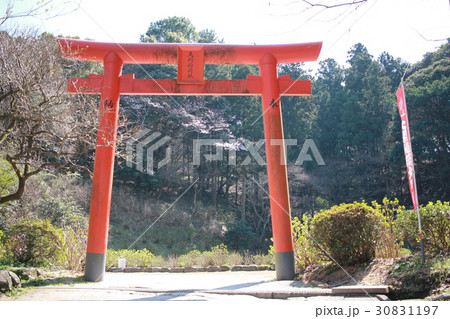 鳥居 30831197