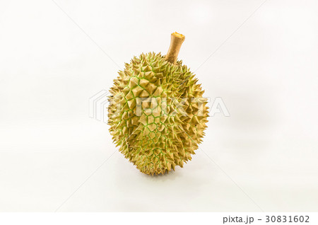 close-up view of durian isolated white background 30831602
