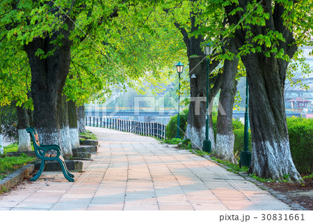 The longest in Europe linden alley 30831661