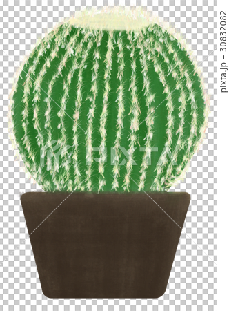 Hand-painted succulent plant cactus Hand-painted succulent plant cactus 30832082