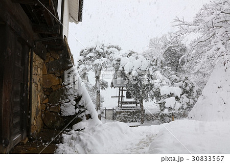大雪の「国宝」彦根城・時報鐘冬景色（琵琶湖国定公園） 30833567