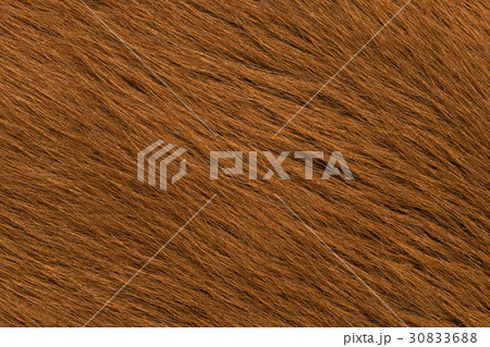 Cow skin Cow skin 30833688