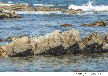 平磯　白亜紀層 30834162