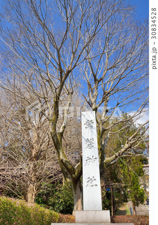 茨城 常盤神社 茨城 常盤神社 30834528