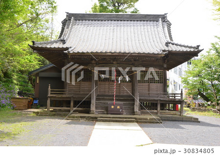高宰神社の初夏は　八王子市散田町 30834805