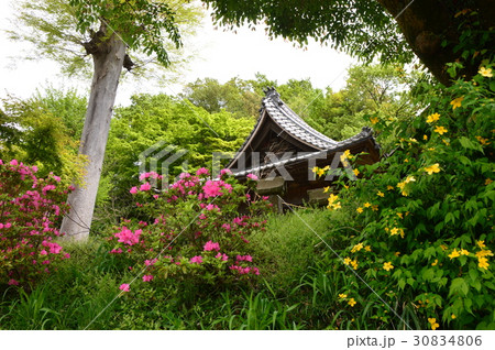 高宰神社の初夏は　八王子市散田町 30834806