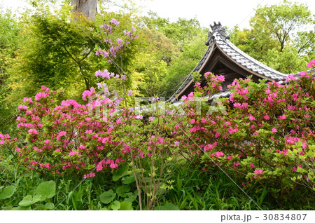 高宰神社の初夏は　八王子市散田町 30834807