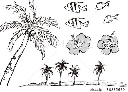 国 ハワイ グアム 熱帯魚 ハイビスカス 椰子の木手描き鉛筆画テイストのイラスト素材