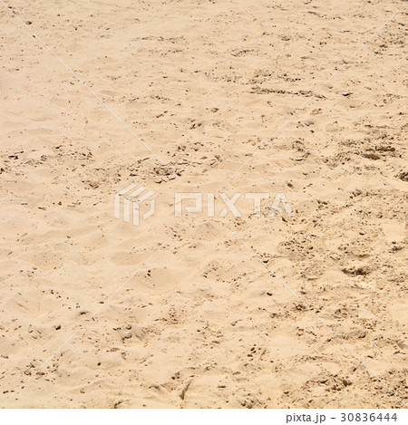 Sand texture as a background 30836444