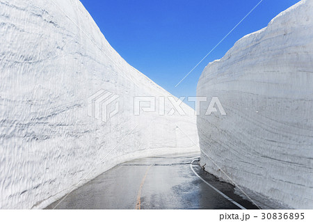 【富山県】雪の大谷ウォーク  立山黒部アルペンルート 【富山県】雪の大谷ウォーク  立山黒部アルペンルート 30836895