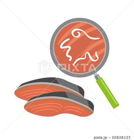 アニサキス 30838135