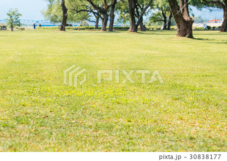 初夏の風景 30838177
