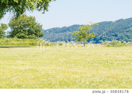 初夏の風景 30838178
