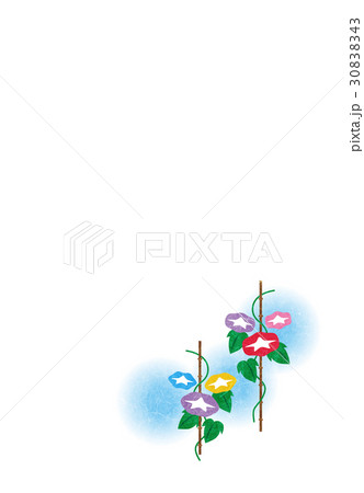 朝顔【和風背景・シリーズ】 30838343