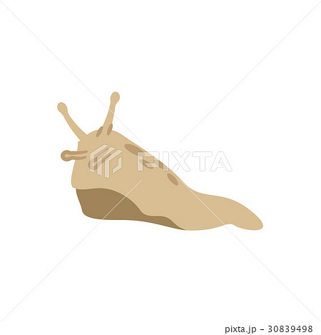 害虫　害獣シリーズ 30839498