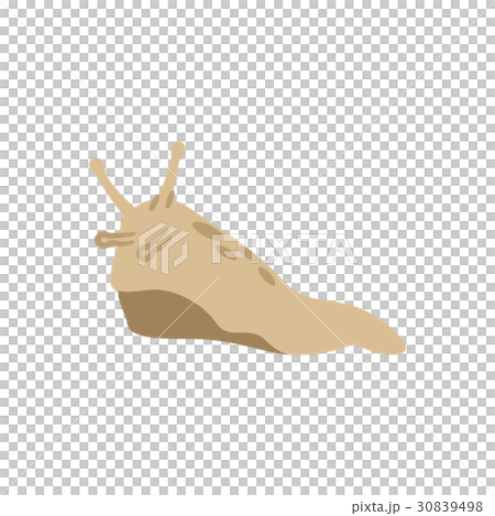 害虫　害獣シリーズ 30839498