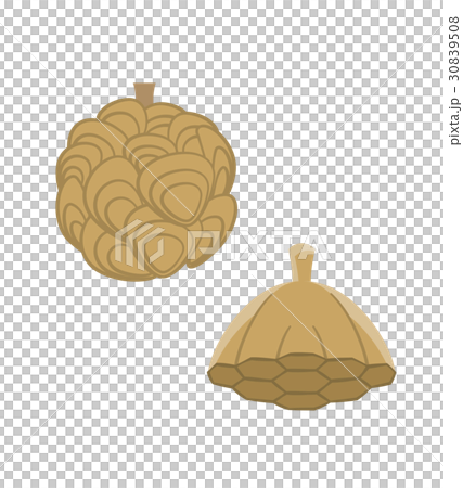 害虫　害獣シリーズ 30839508