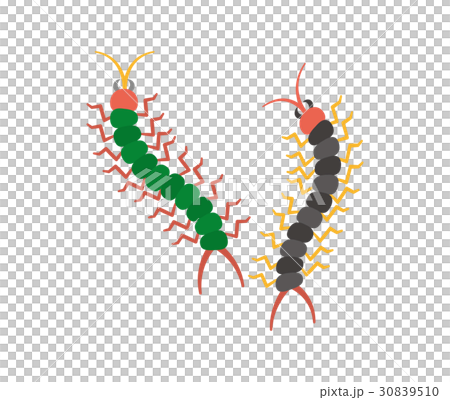 Pest vermin series 30839510