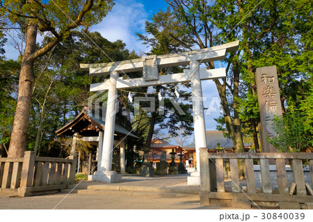 蕨市 和楽備神社 蕨市 和楽備神社 30840039