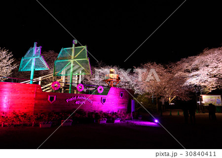 桜とイルミネーション 30840411