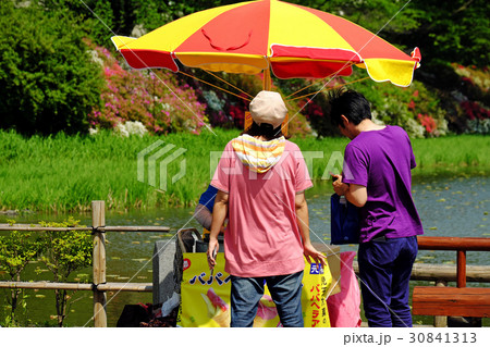 ツツジ祭の千秋公園　元祖ババヘラアイス売り 30841313