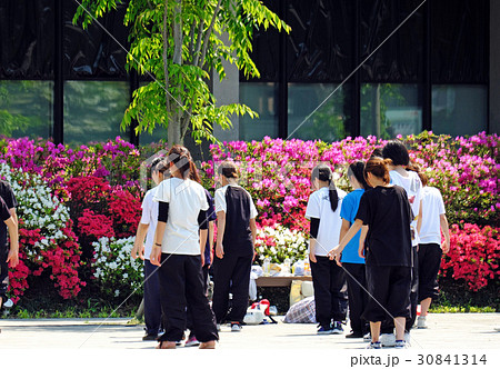 ツツジ祭の千秋公園　見頃のツツジとダンスの訓練 30841314