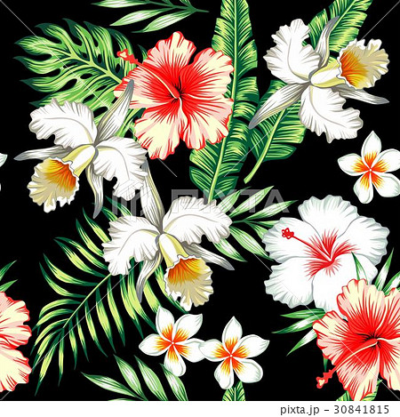hibiscus and orchids tropical seamless background 30841815