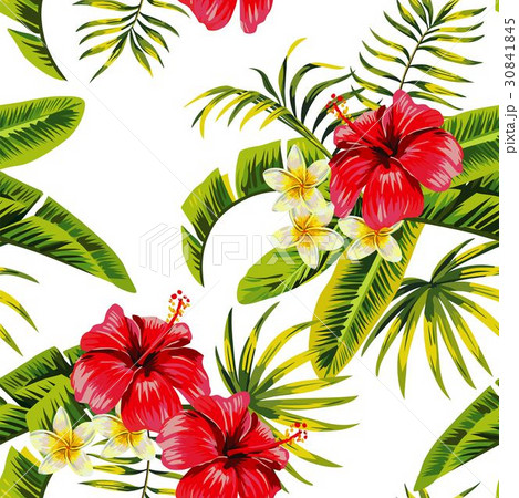 tropical flowers and plants pattern tropical flowers and plants pattern 30841845
