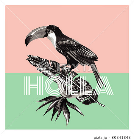 toucan and tropical plants trendy print toucan and tropical plants trendy print 30841848