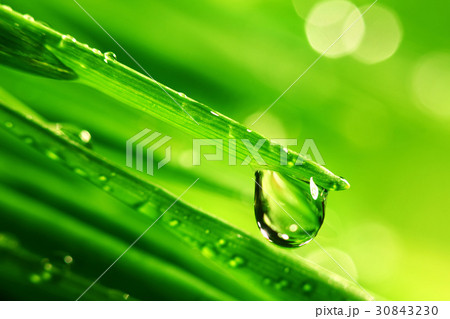 big water drop big water drop 30843230