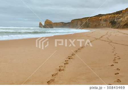 Sandy Ocean Beach 30843469