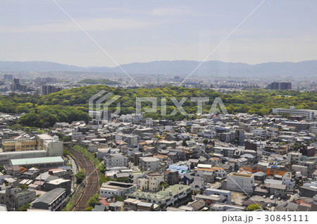 大仙古墳 大仙古墳 30845111