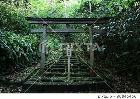 利島 30845456