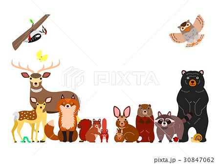 森の動物の背景のイラスト素材 30847062 Pixta