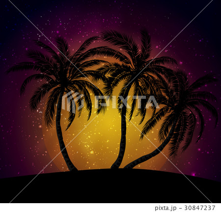Palms silhouettes at orange sunset sk 30847237