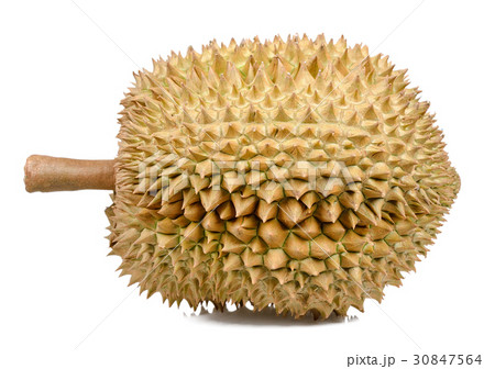 Durian isolated on the white background 30847564
