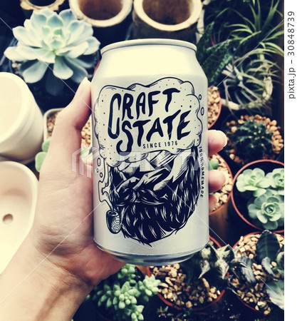 Hand holding craft state beer can with houseplants background 30848739