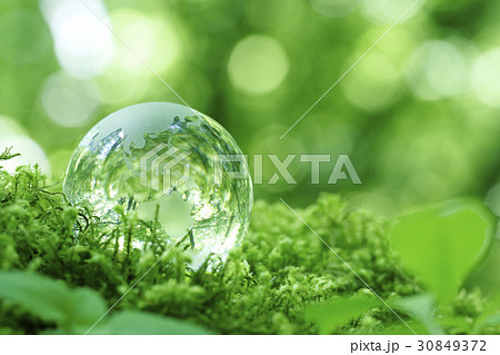 エコイメージ エコイメージ 30849372