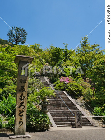 宇治・三室戸寺 宇治・三室戸寺 30849936