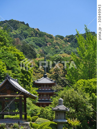 宇治・三室戸寺 30849943