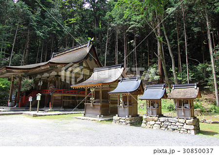 日吉大社 白山姫神社本殿 日吉大社 白山姫神社本殿 30850037