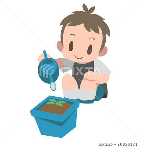 予約】手描きイラスト朝顔男の子 予約】手描きイラスト朝顔男の子
