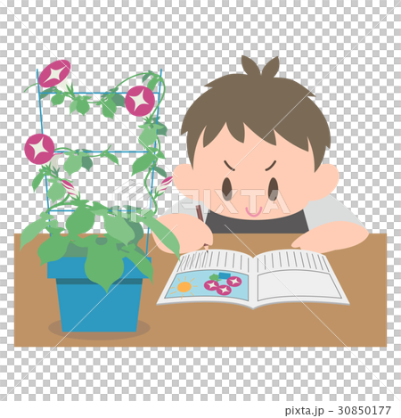 有牽牛花觀察日誌的男孩 30850177