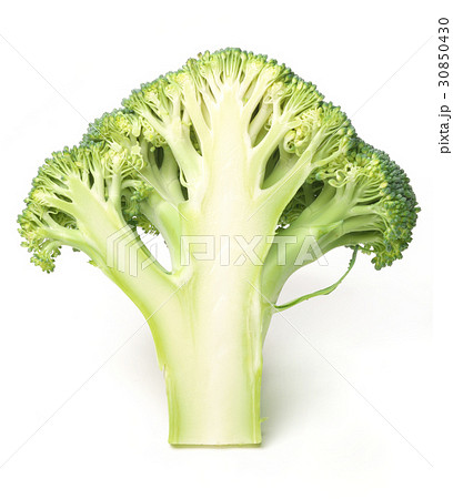 ブロッコリーの断面 ブロッコリーの断面 30850430