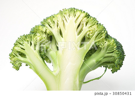 ブロッコリーの断面 30850431